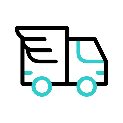 Priority Speed Shipping